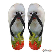 Pomeranian Flip Flops For Women-Free Shipping - Deruj.com