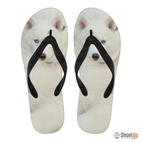 White Husky Puppy Flip Flops For Men- Free Shipping - Deruj.com