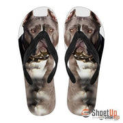 Pitbull Flip Flops For Men- Free Shipping - Deruj.com