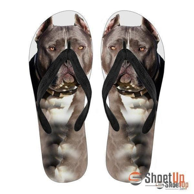 Pitbull Flip Flops For Men- Free Shipping - Deruj.com