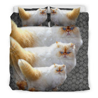 Lovely Himalayan Cat Print Bedding Set-Free Shipping - Deruj.com