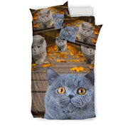 Amazing British Shorthair Cat Print Bedding Set-Free Shipping - Deruj.com