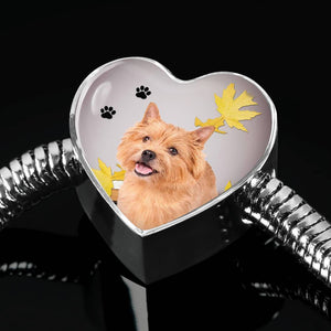 Norwich Terrier Print Heart Charm Steel Bracelet-Free Shipping - Deruj.com