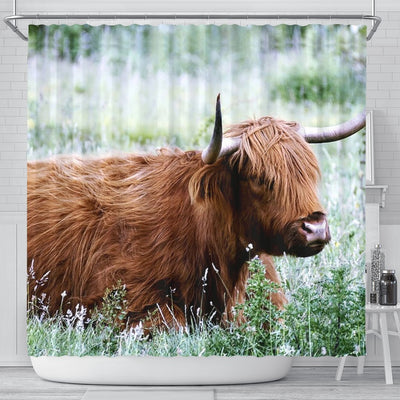 Amazing Highland Cattle (Cow) Print Shower Curtains-Free Shipping - Deruj.com