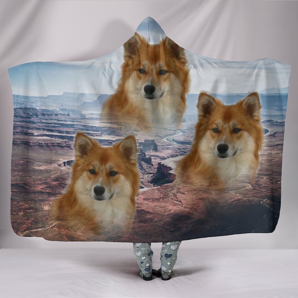 Icelandic Sheepdog Print Hooded Blanket-Free Shippipng - Deruj.com