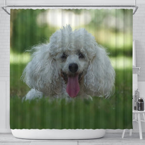 Cute Poodle Puppy Print Shower Curtains-Free Shipping - Deruj.com
