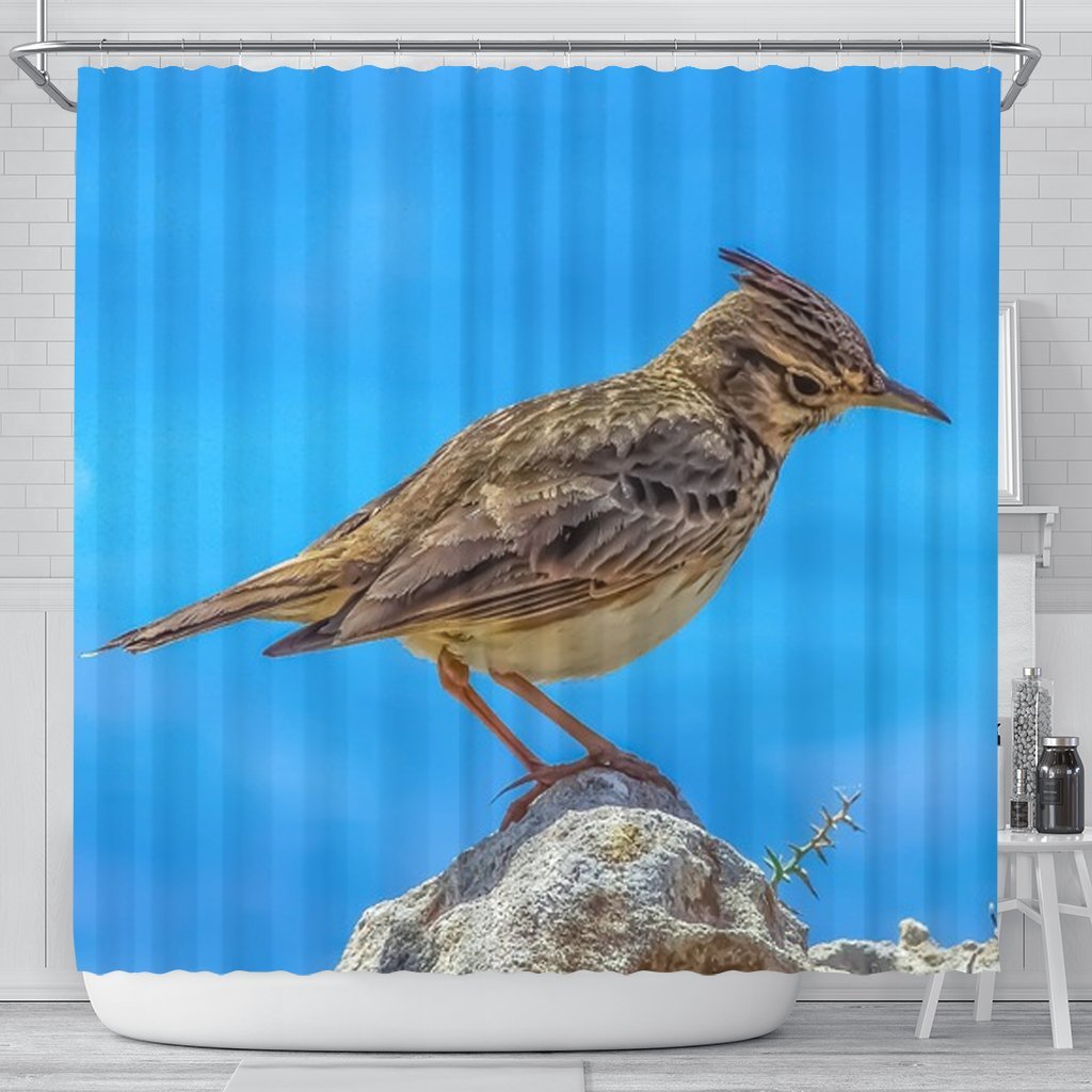Lark Bird Print Shower Curtains-Free Shipping - Deruj.com