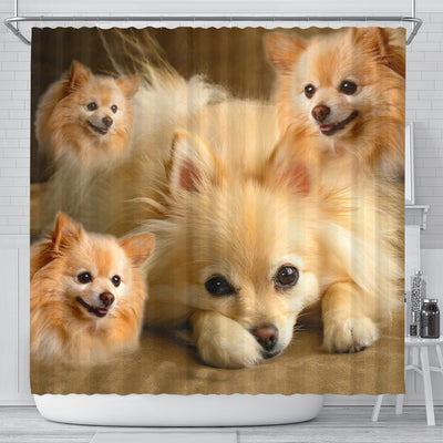 Pomeranian Print Shower Curtains-Free Shipping - Deruj.com