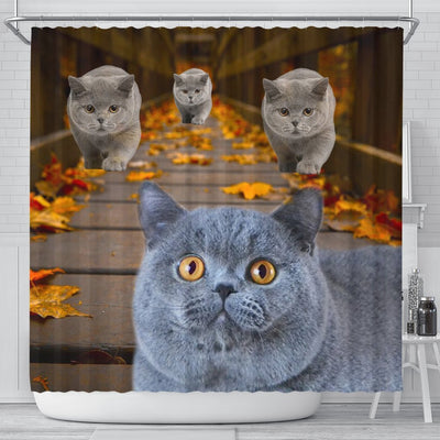 Amazing British Shorthair Cats Shower Curtain-Free Shipping - Deruj.com