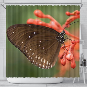 Butterfly Print Shower Curtains-Free Shipping - Deruj.com