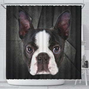 Boston Terrier Print Shower Curtains-Free Shipping - Deruj.com