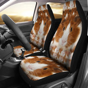 Abyssinian guinea pig Print Car Seat Covers-Free Shipping - Deruj.com