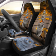 British Shorthair Cat Print Car Seat Covers-Free Shipping - Deruj.com