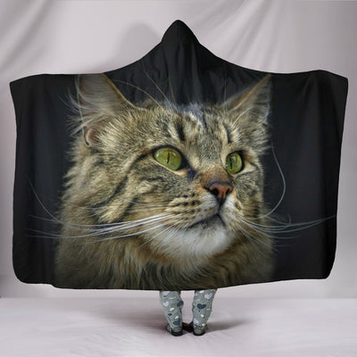 Amazing Norwegian Forest Print Hooded Blanket-Free Shipping - Deruj.com