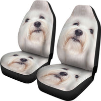 Coton de Tulear Dog Print Car Seat Covers-Free Shipping - Deruj.com