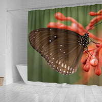 Butterfly Print Shower Curtains-Free Shipping - Deruj.com