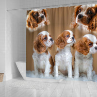 Cavalier King Charles Spaniel Print Shower Curtain-Free Shipping - Deruj.com