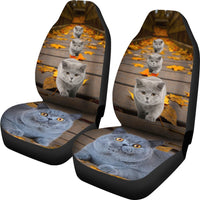 British Shorthair Cat Print Car Seat Covers-Free Shipping - Deruj.com