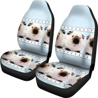 Amazing Himalayan guinea pig Print Car Seat Covers-Free Shipping - Deruj.com