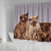 Three Burmese Cat Print Shower Curtain-Free Shipping - Deruj.com