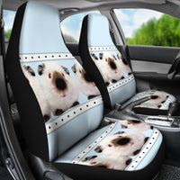 Amazing Himalayan guinea pig Print Car Seat Covers-Free Shipping - Deruj.com