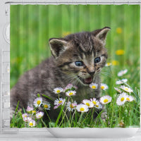 Cute American Shorthair Cat Print Shower Curtains-Free Shipping - Deruj.com