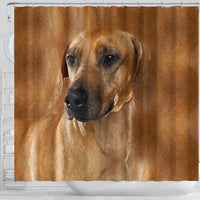 Rhodesian Ridgeback Dog Print Shower Curtain-Free Shipping - Deruj.com