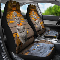British Shorthair Cat Print Car Seat Covers-Free Shipping - Deruj.com