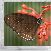 Butterfly Print Shower Curtains-Free Shipping - Deruj.com