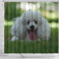 Cute Poodle Puppy Print Shower Curtains-Free Shipping - Deruj.com