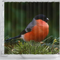 Lovely Bullfinch Bird Print Shower Curtains-Free Shipping - Deruj.com