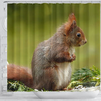 Cute Red Squirrel Print Shower Curtains-Free Shipping - Deruj.com