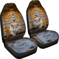 British Shorthair Cat Print Car Seat Covers-Free Shipping - Deruj.com