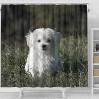 Cute Maltese Dog Print Shower Curtains-Free Shipping - Deruj.com