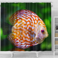 Discus Fish Print Shower Curtain-Free Shipping - Deruj.com