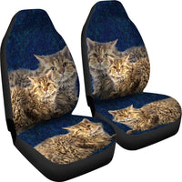Lovely Selkirk Rex Cat Print Car Seat Covers- Free Shipping - Deruj.com