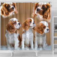 Cavalier King Charles Spaniel Print Shower Curtain-Free Shipping - Deruj.com