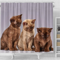 Three Burmese Cat Print Shower Curtain-Free Shipping - Deruj.com